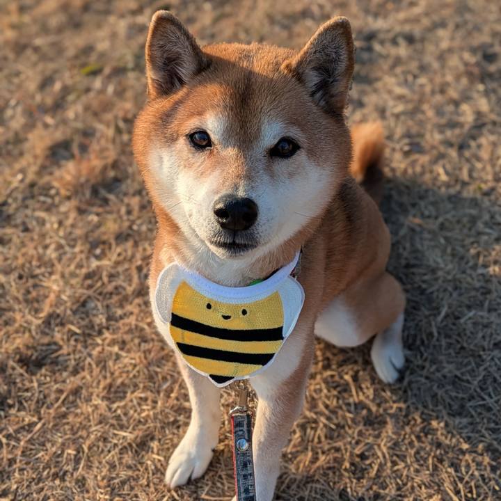 9f178ce5 a1e4 4c88 837a e1acb1779dd8 1768722892296