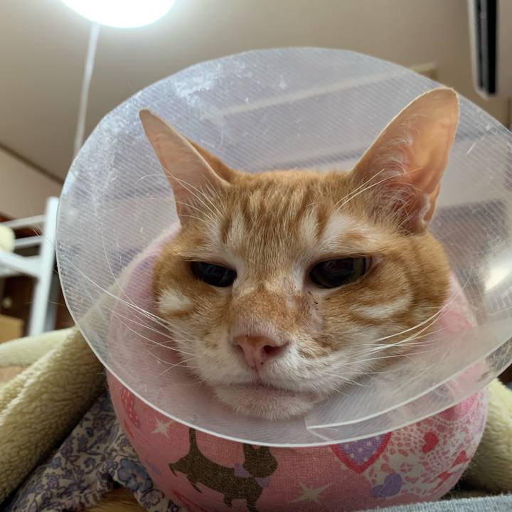 9f17b976 7a47 4cdd ab57 f1c41b456ec7 1621633374079