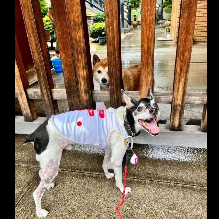 9f17bd6a 04c6 4c72 b2ab e83b50fcc864 1657410182273