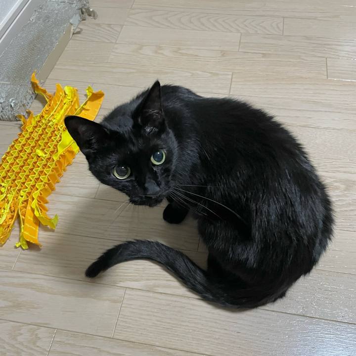 9f1804ba 130e 4a6a a3b3 366925803674 1685537903561