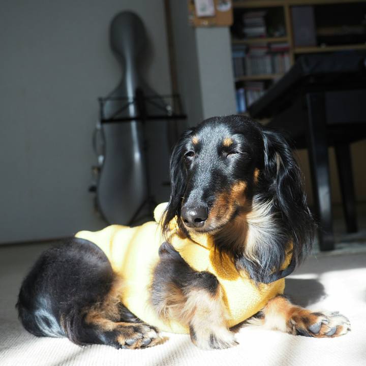 9f1870cc 2c77 4c34 8c1c 631a32c4d65a 1548382329568