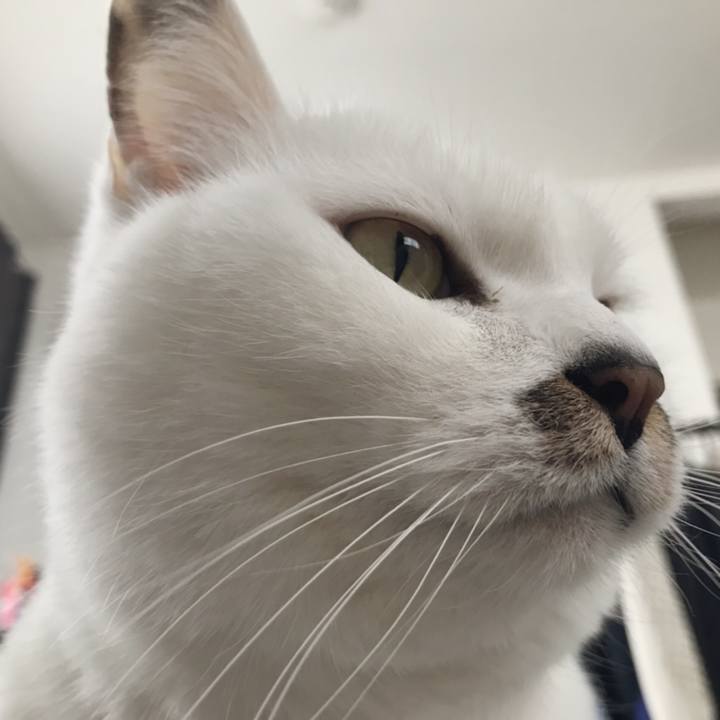 9f187c4b ad7b 40ae 8695 a3b882fc1b6f 1552708261649