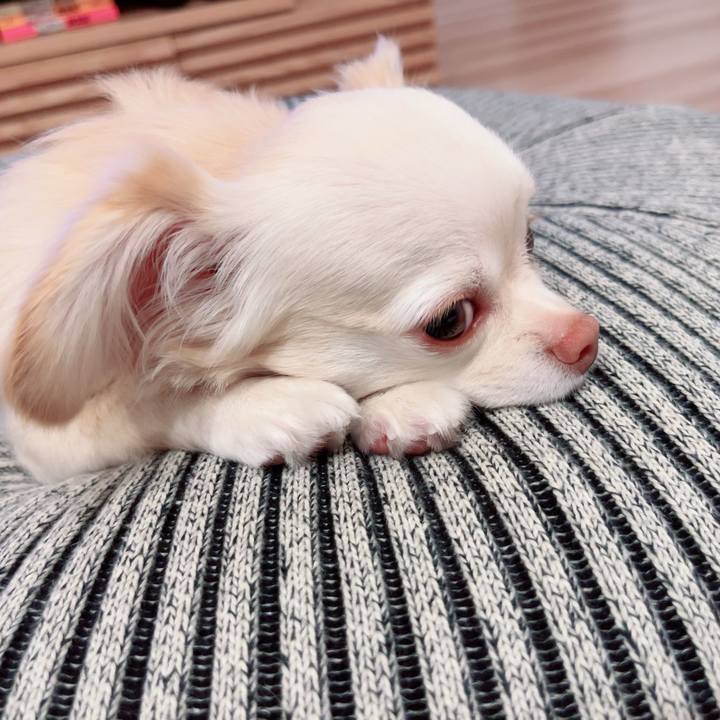 9f194d87 0185 45ed a40f 01b2b3f2fd6d 1694680028884