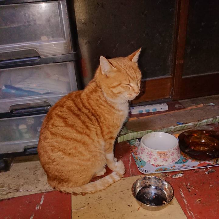 9f196c52 d6d8 41be 89ab a0ba64715dac 1578599701006