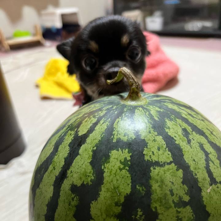 9f199995 b9ec 4bdc 8f49 0cf6ae47be48 1660379337164