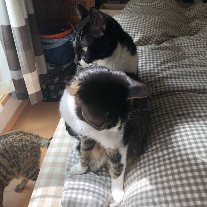 9f19cbd7 4898 4897 9440 ba01d66c3768 1552161651591