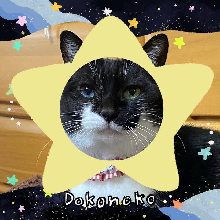 9f19ff48 5ba6 4182 8eaf 3a9a1286910a 1720955429069