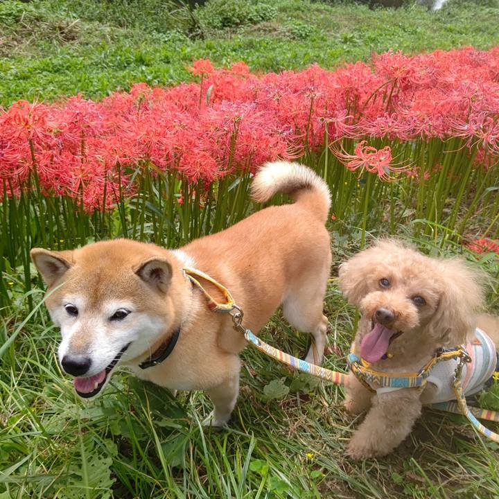 9f1a1f80 0c81 4f3b b53a e6500bb8c5b2 1601960195079