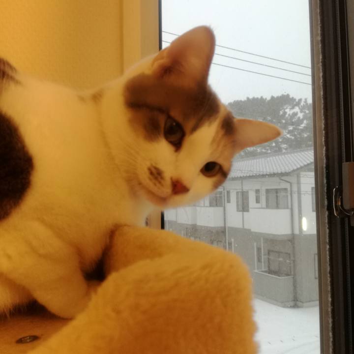 9f1a23b2 09af 46e8 8b5b bb04c7b25296 1515631833883