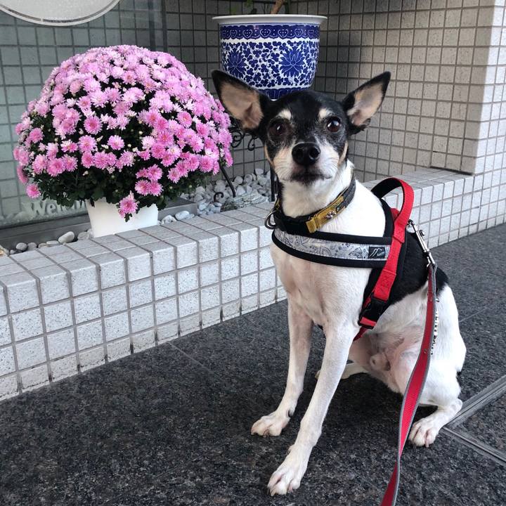 9f1a262d 4fe1 4689 b500 a70d8f134379 1539816085055