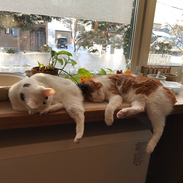 9f1a34af c470 4b99 a0d6 73c536ec15a5 1544223602519