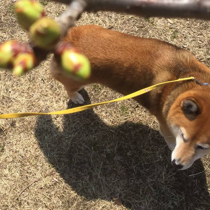 9f1a38cf 1483 4cf3 8554 8339d17c1912 1552458604324