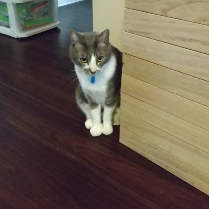 9f1a3f4f fb34 4df7 9c53 049adc4d0c5f 1617745056818