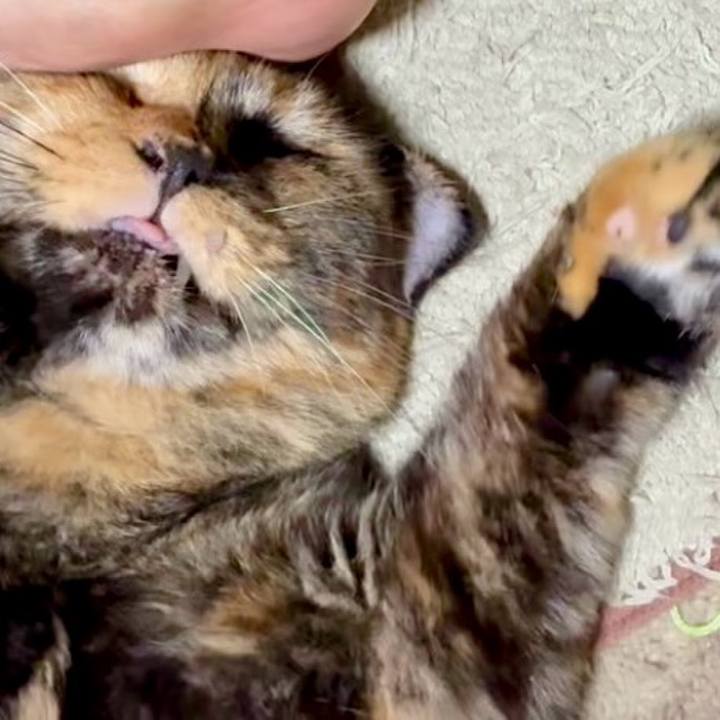 9f1a4eac e23a 427c 90d3 29bd5913368a 1756932971610