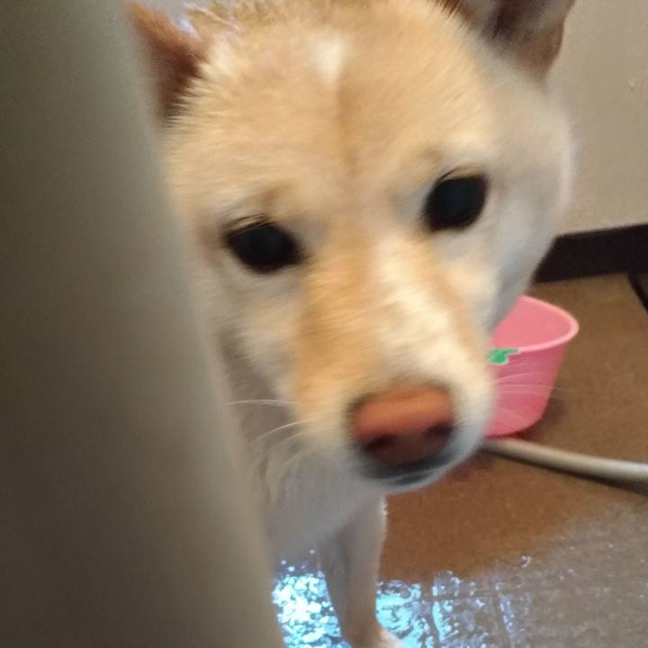 9f1a5377 0c71 4032 9b3d 98b72f117123 1587779437565