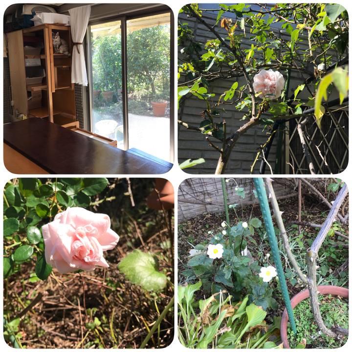 9f1a5d39 33e8 43f3 a606 fd7a6814767c 1603169078129