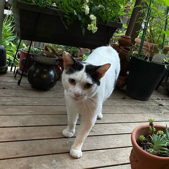 9f1a8153 546e 46b0 93f5 95a8cb8aced7 1661332768462