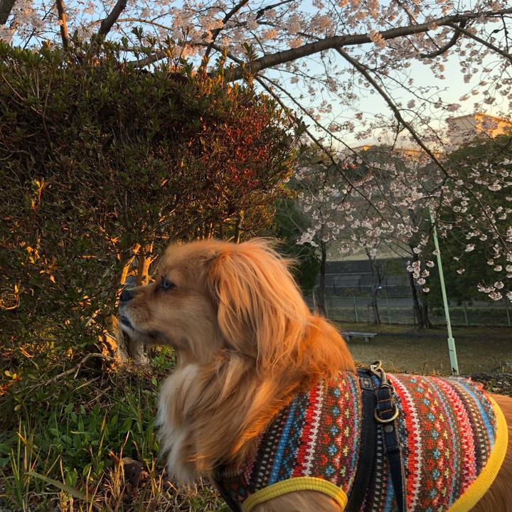 9f1a9279 1f6b 4128 a916 32d8a2bb89d5 1554153257774