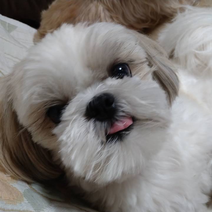 9f1abb5d a261 4a68 90f3 0f6fba20a7a1 1659269247099