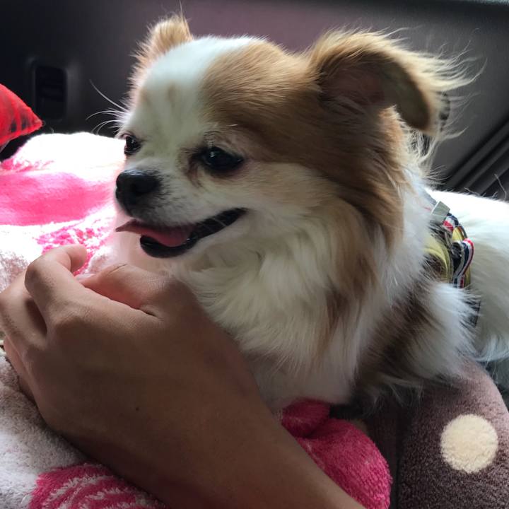 9f1ac6fa ca50 40e6 aab2 dec03ad7a592 1566718740268