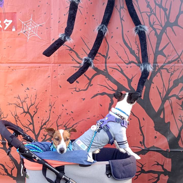 9f1af0bf b378 4673 8cbb 25f0be0c4e3f 1664706720452