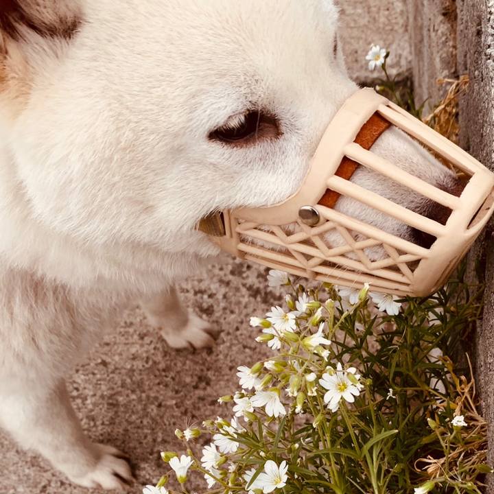 9f1b01e0 9f35 480a ae53 33f81d4ca69b 1559595587035