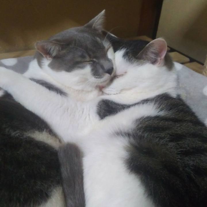 9f1b0e86 1716 4d6a 9ea7 71d4426ced38 1518970993291