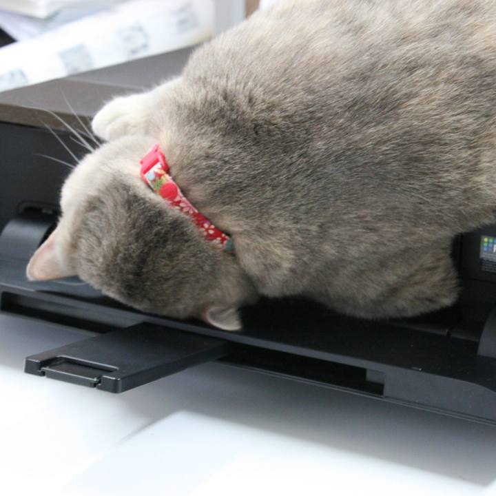 9f1b2856 d65b 46cf b72e f832ea68b173 1510618710764