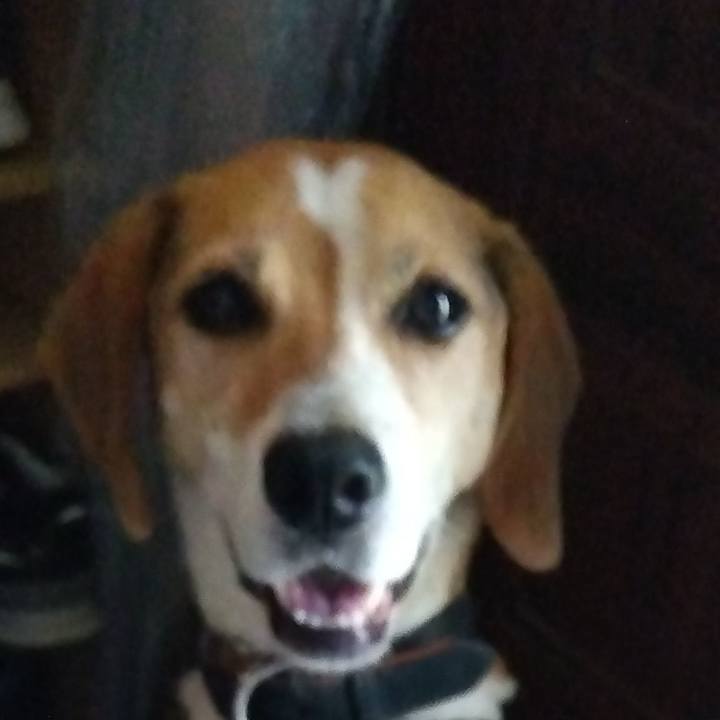 9f1b28db 0088 4bbc baae ed0773aac5e2 1690804701233