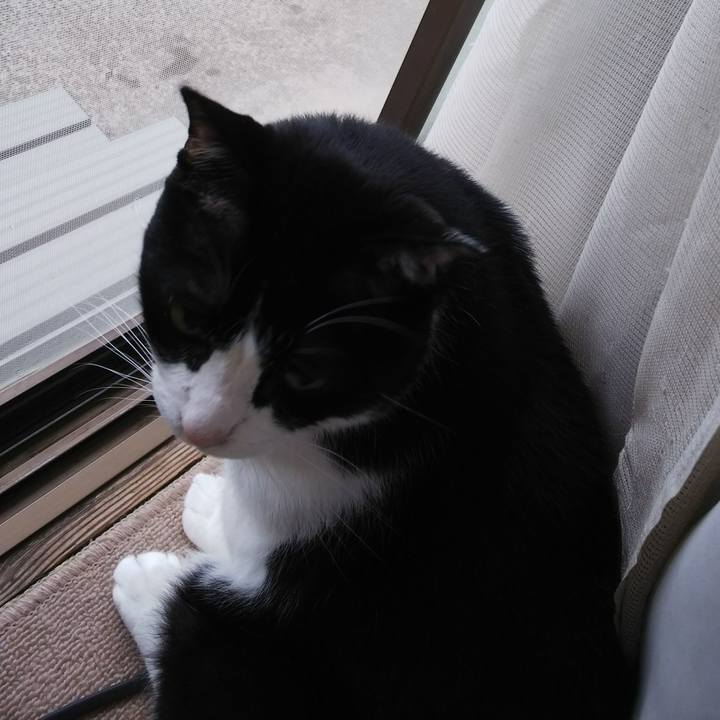 9f1b5ace fc3d 4c60 8968 8df43e7fe12f 1527540262561