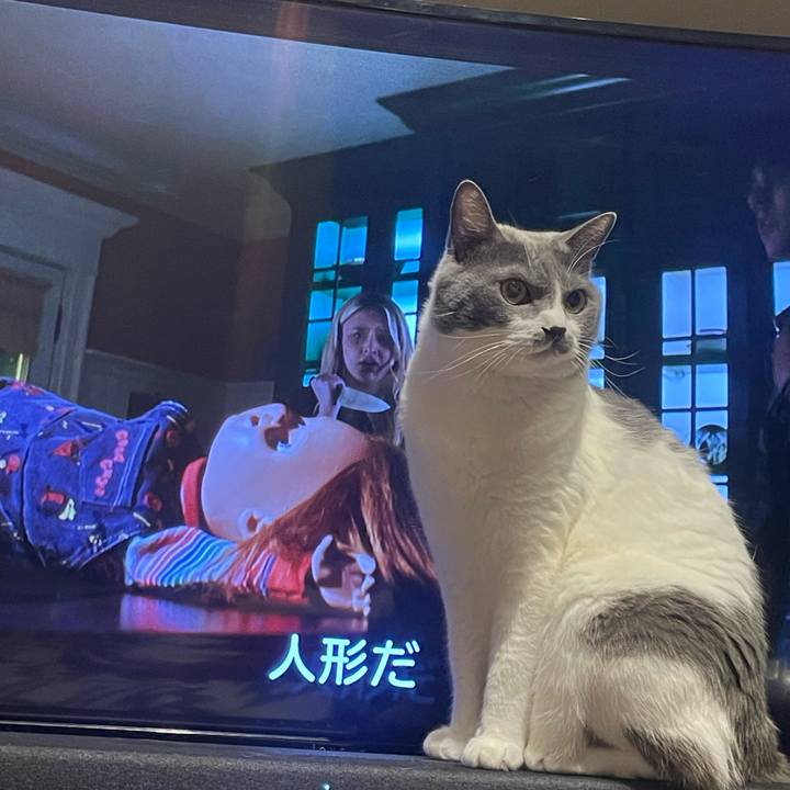 9f1b9cb8 6b84 41d0 a652 439cec2acbb6 1693483387287