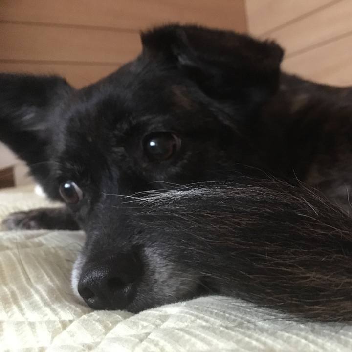 9f1c3f96 152f 4339 bf2c 48c9b6c7da64 1561499380254