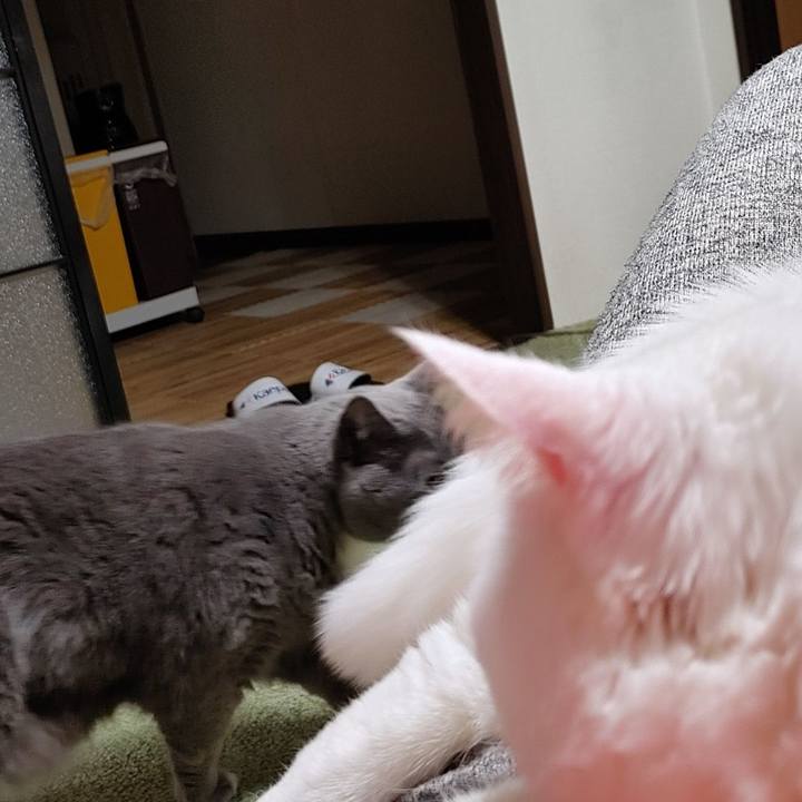 9f1c49b8 b89e 46fe 8896 c7e0cb86371d 1673169600254