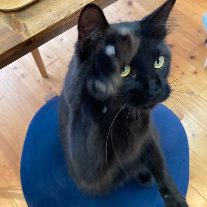 9f1c7f2a 2bb5 43e6 8293 1a37f7494d96 1731805402149