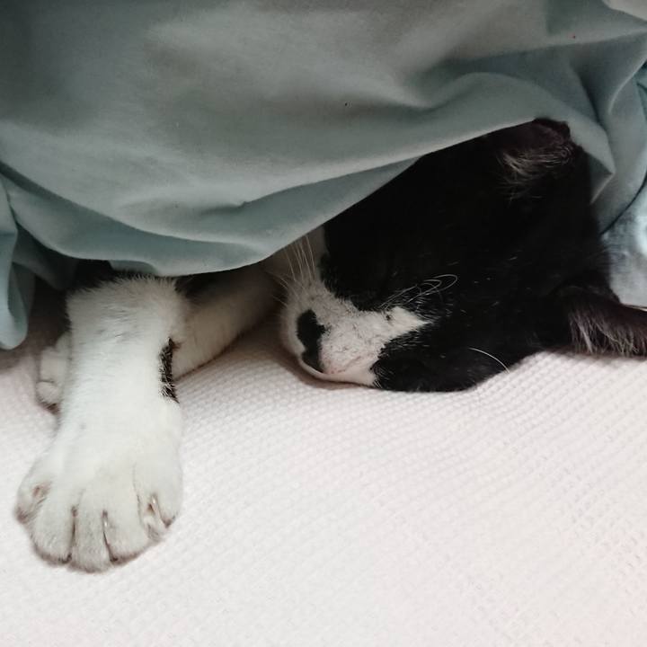 9f1c96b2 da08 465b 8519 3411373672c2 1539789573502