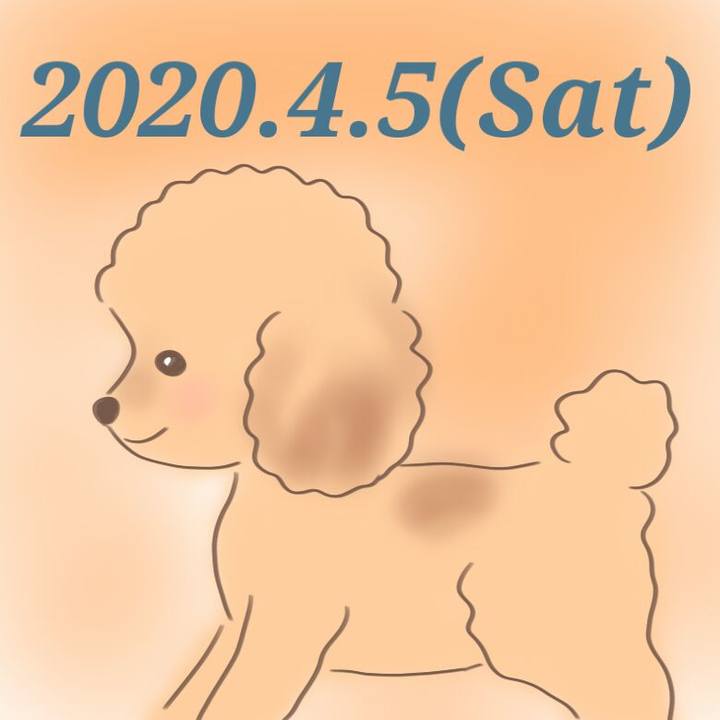 9f1cb101 1046 410f 85c3 a80634bdabf4 1586012481593