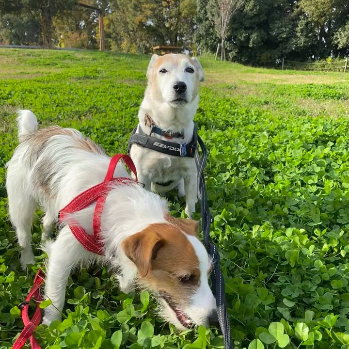 9f1cbe36 993a 427d 8414 86e029c12ad2 1637462509202