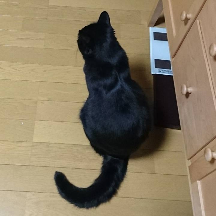 9f1cbfbc 420c 46fa 89dd 56d104057ddf 1534672636871