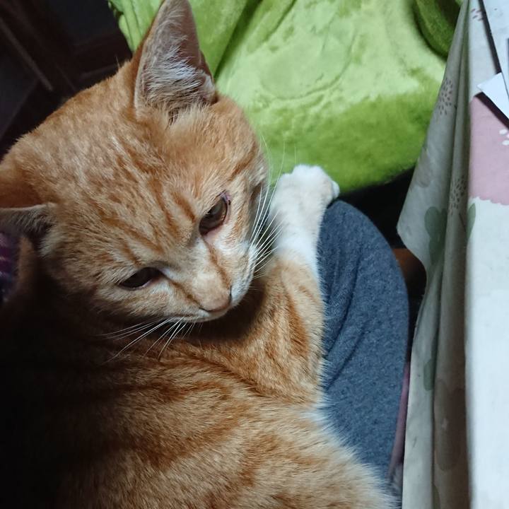 9f1d032f 66c4 41bf b5ba 697bc2eee1ff 1582578107407