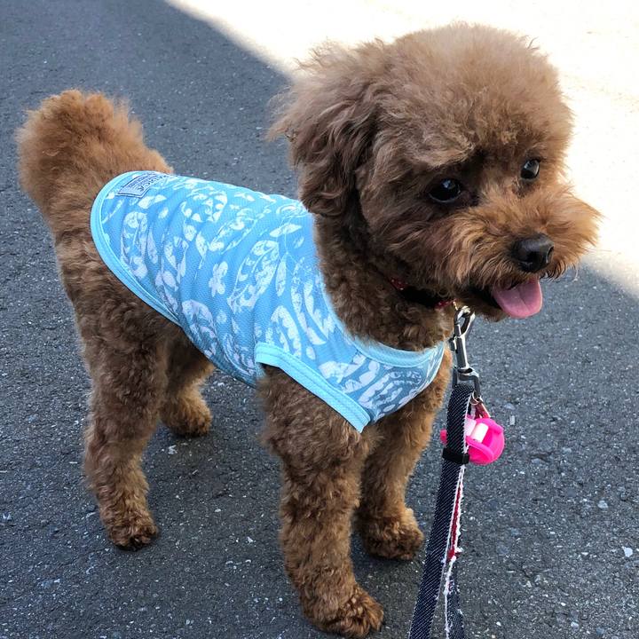 9f1d2a20 fb9e 4be8 93fe c54991d6ff34 1589716407755