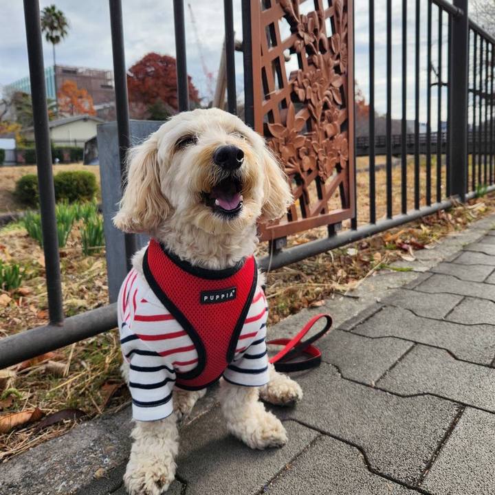 9f1d34c1 c177 477e a3bf 83b2d5b64a3a 1765421555054