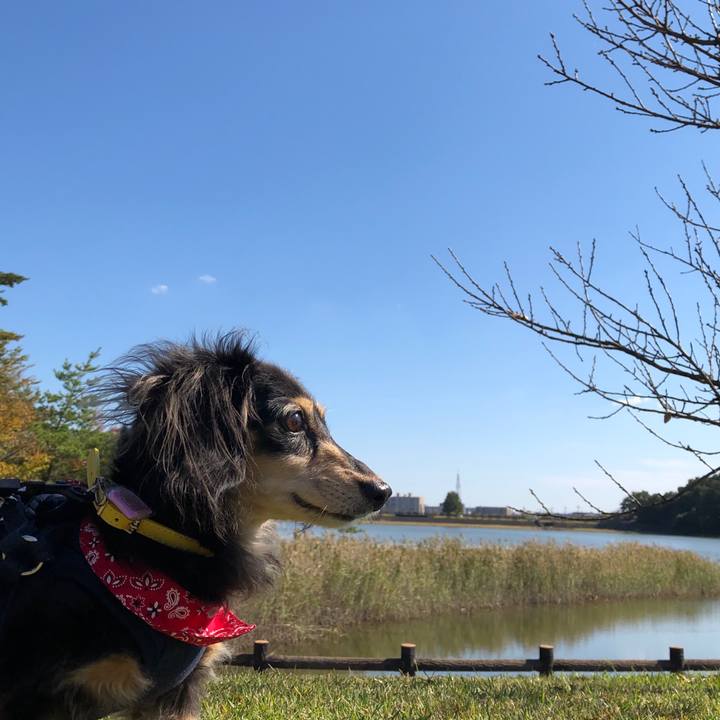 9f1d43c9 b994 43f1 837c 037da7d3979c 1603690471443