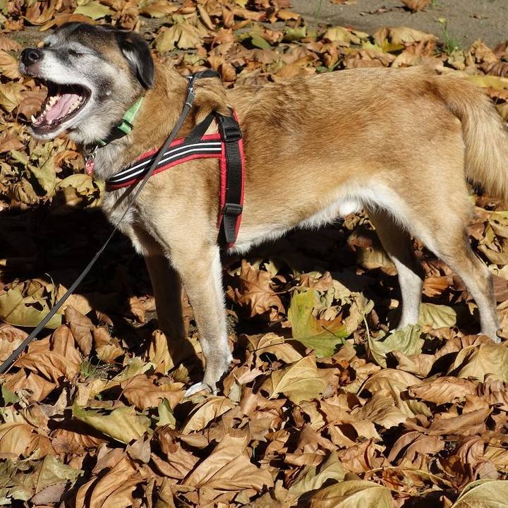 9f1d6cac 0f42 40e7 a276 fe419e1b9e4a 1753487758955