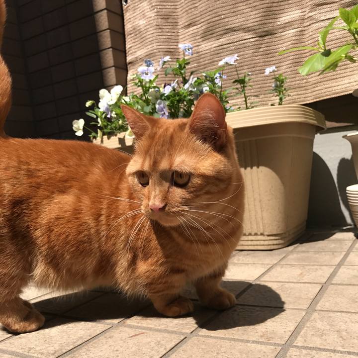 9f1d6e35 c488 4b93 9ebe a4eca8cfc4bc 1524190610462