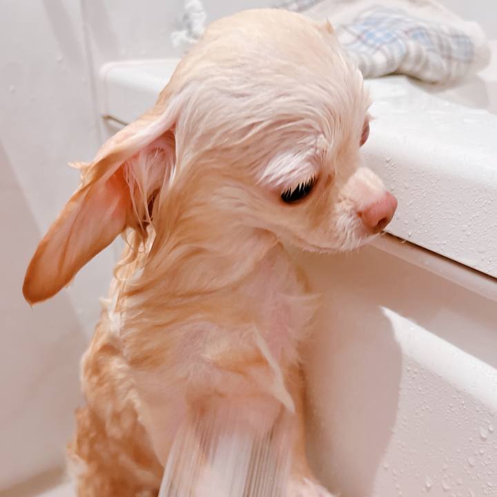 9f1d848b a17c 448f 8393 6d0d578d1272 1661926117100