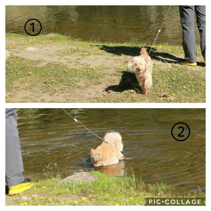 9f1da586 fbbf 4acd 8375 de32e5e900ed 1562598308887