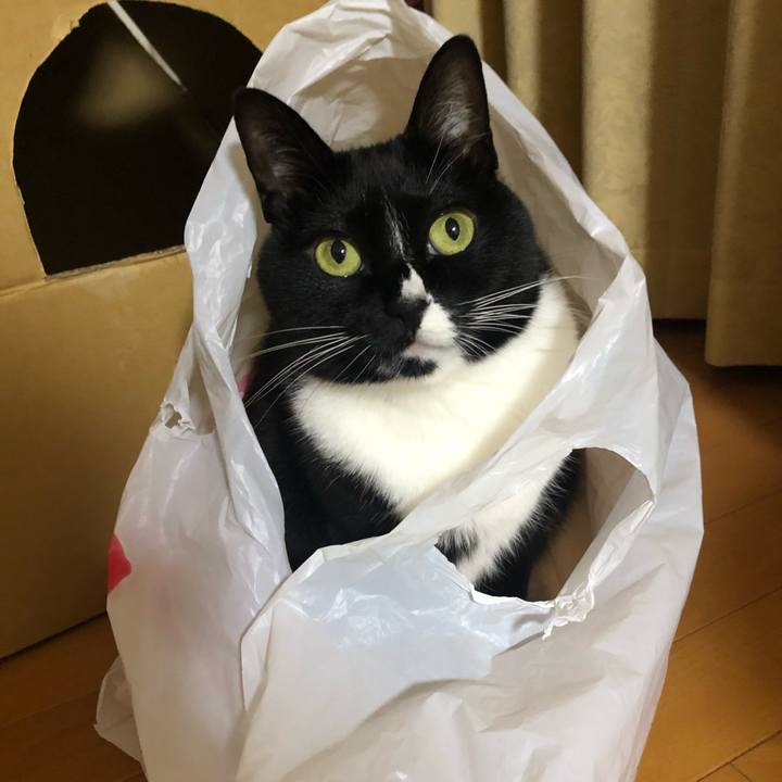 9f1dc0e0 bb8a 4822 a3b7 81207825d0c2 1546896556473