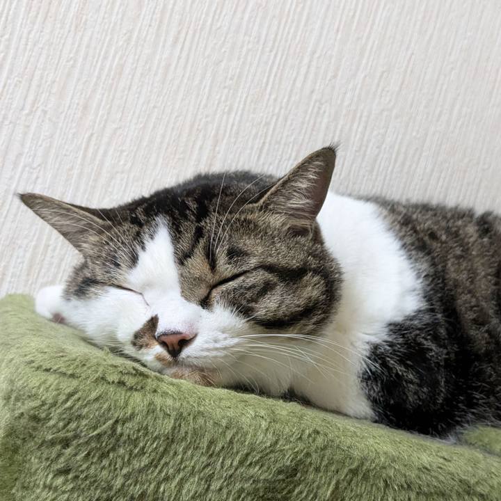 9f1de97c 350a 4554 80ca de7a7b4993bb 1722934224605