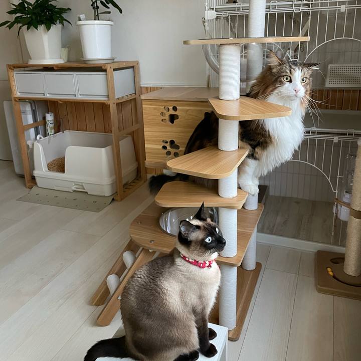 9f1e03bd 7f57 4739 b99d dbf4033492d7 1742074801233