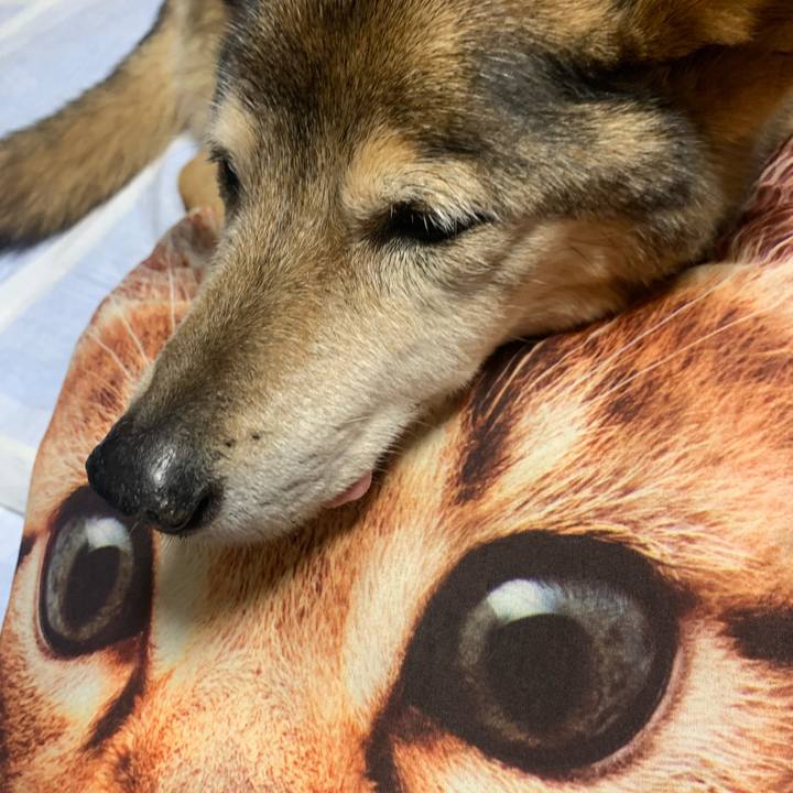 9f1e1b15 ceb0 451e 814f 2d338c992707 1617779113441